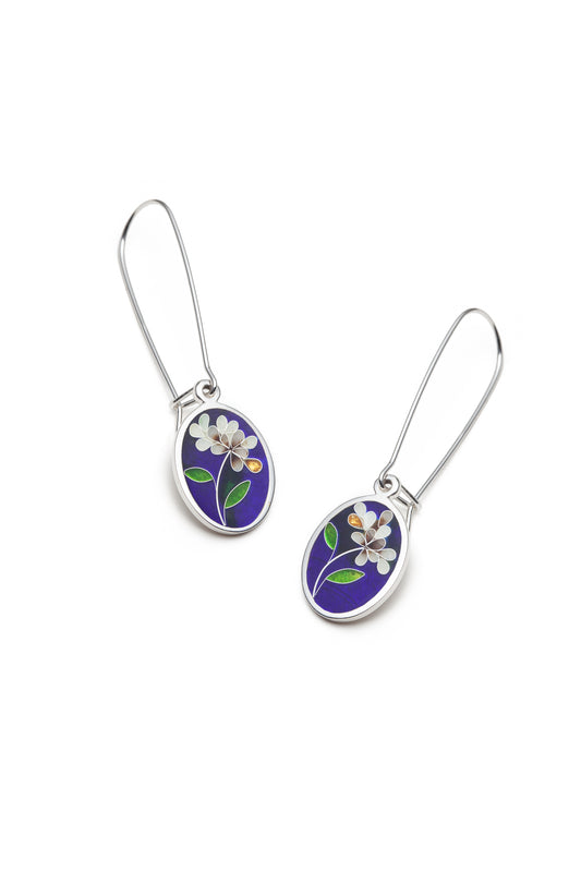 Boucles d'oreilles ovales bleues